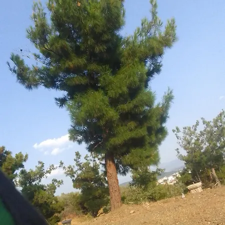 Sehir Manzarali Ferah